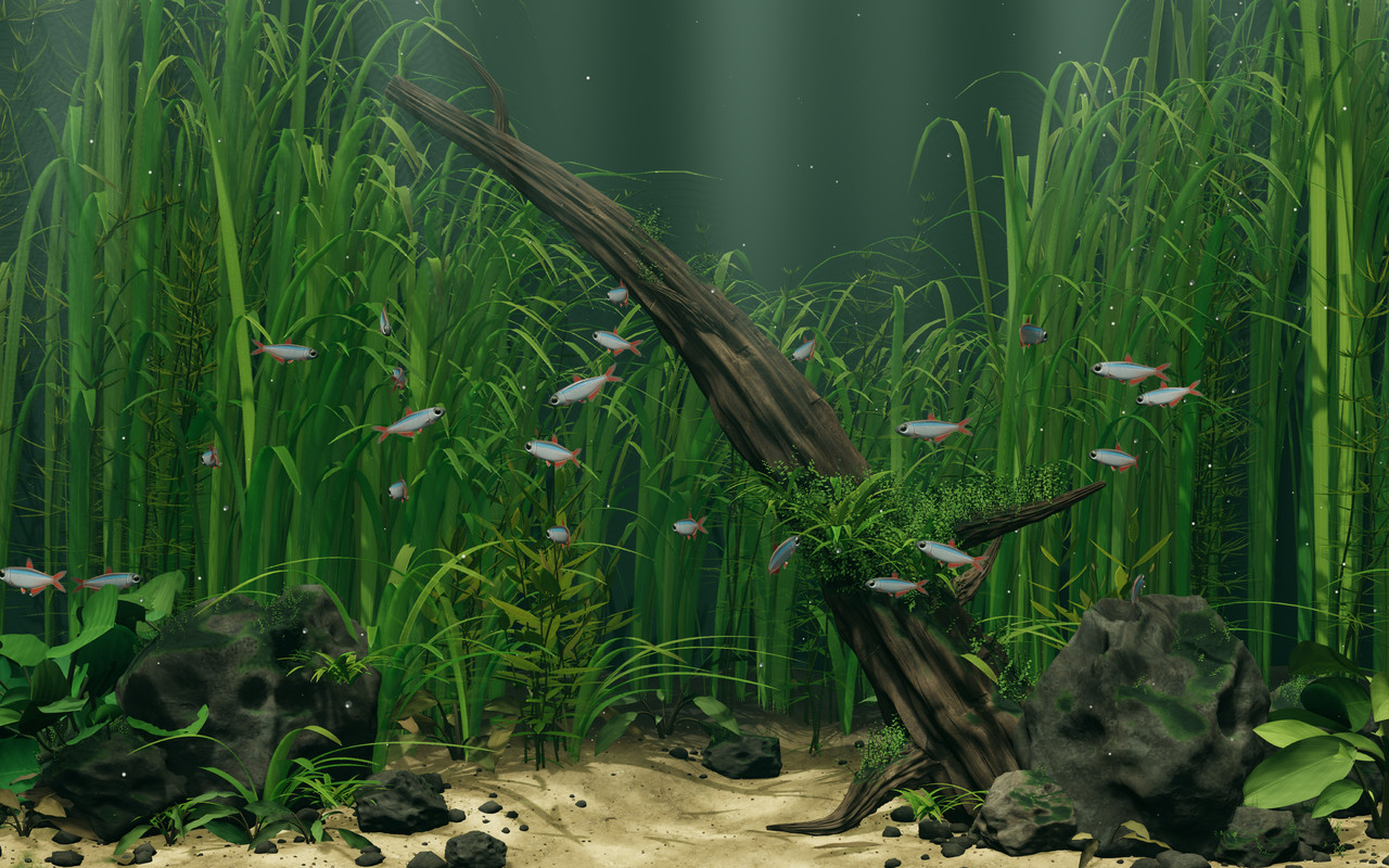Fish swimming over rocks, driftwood and plants in the Riverscape aquarium on a Mac desktop